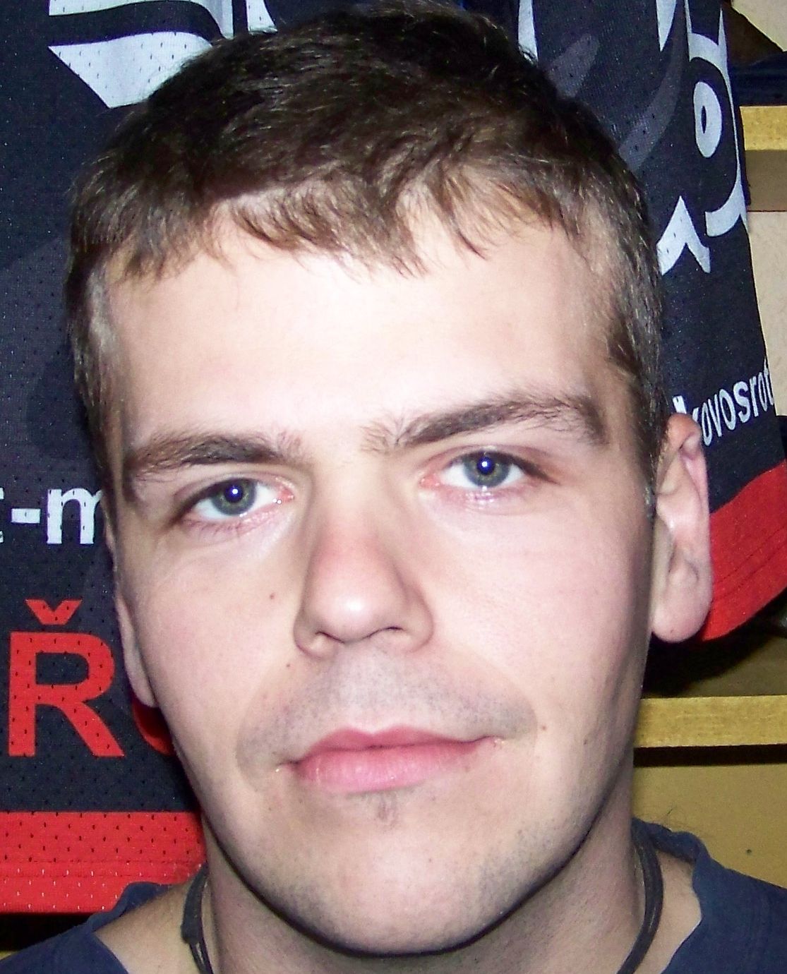 Skála Aleš